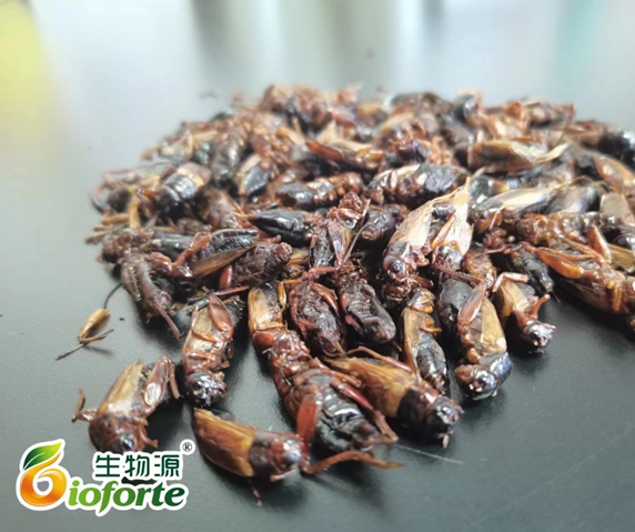 1696554594815163.png image.png